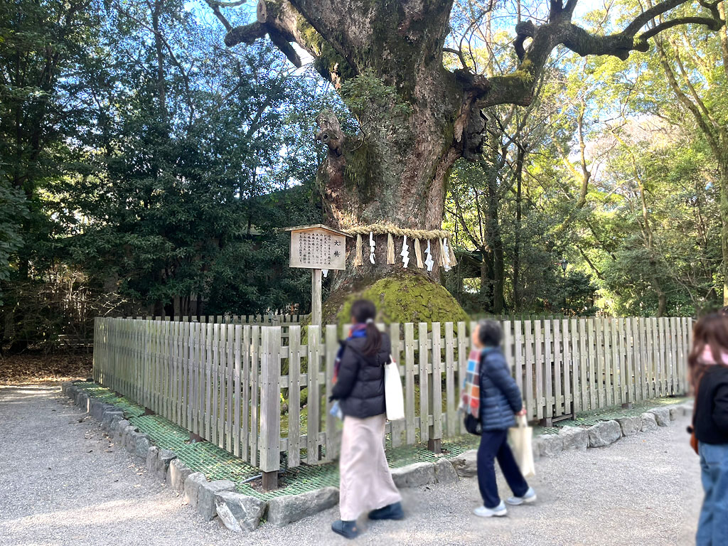 nagoya-20260109-1316