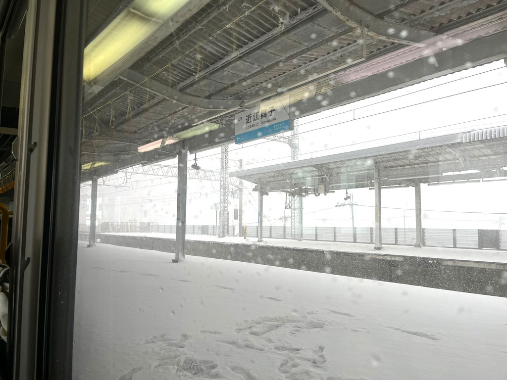 metasequoia-20260208-1235