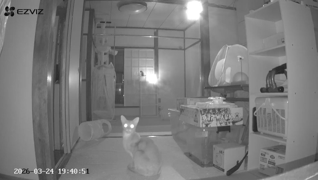 WebCamera-20260324-1940-2