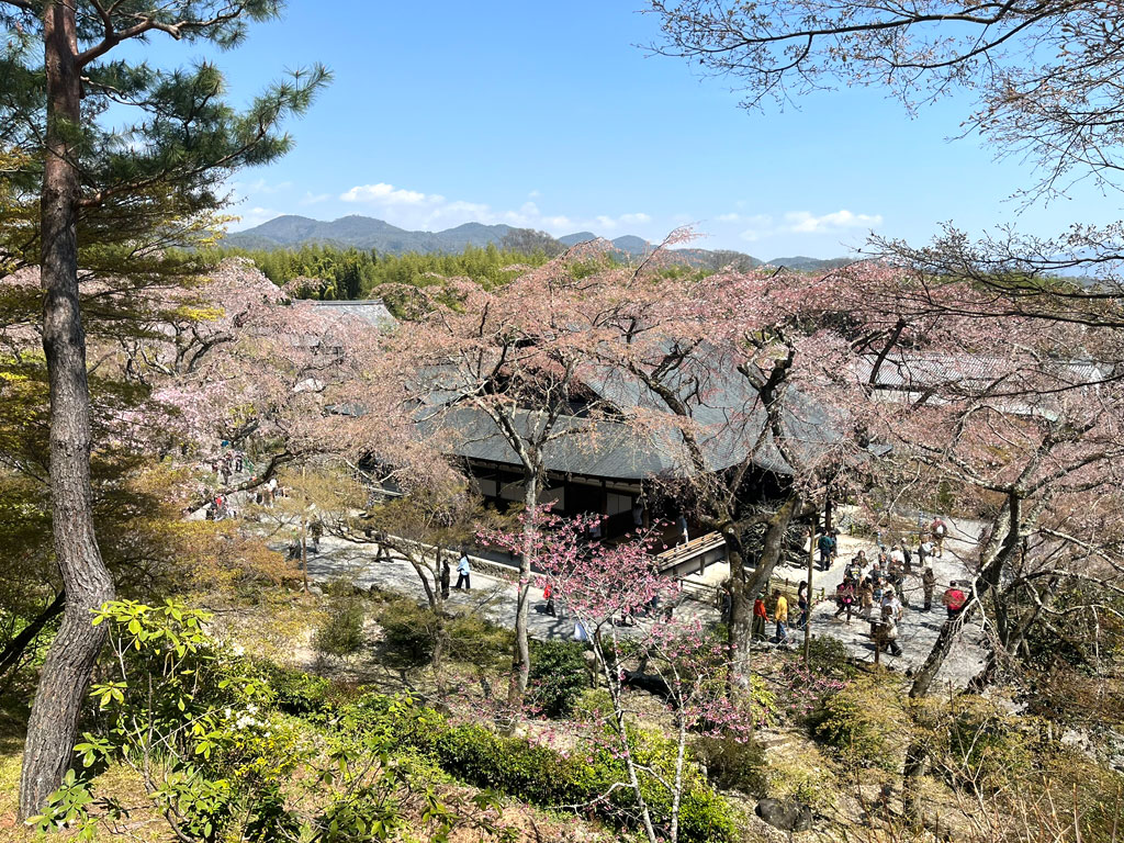 kyouto-20260403-1202