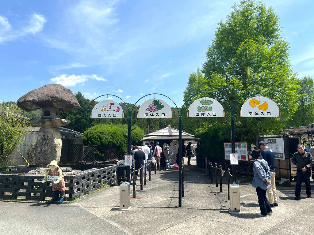 hana-20260502-1231-1