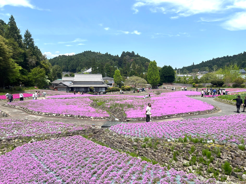 hana-20260502-1246-2