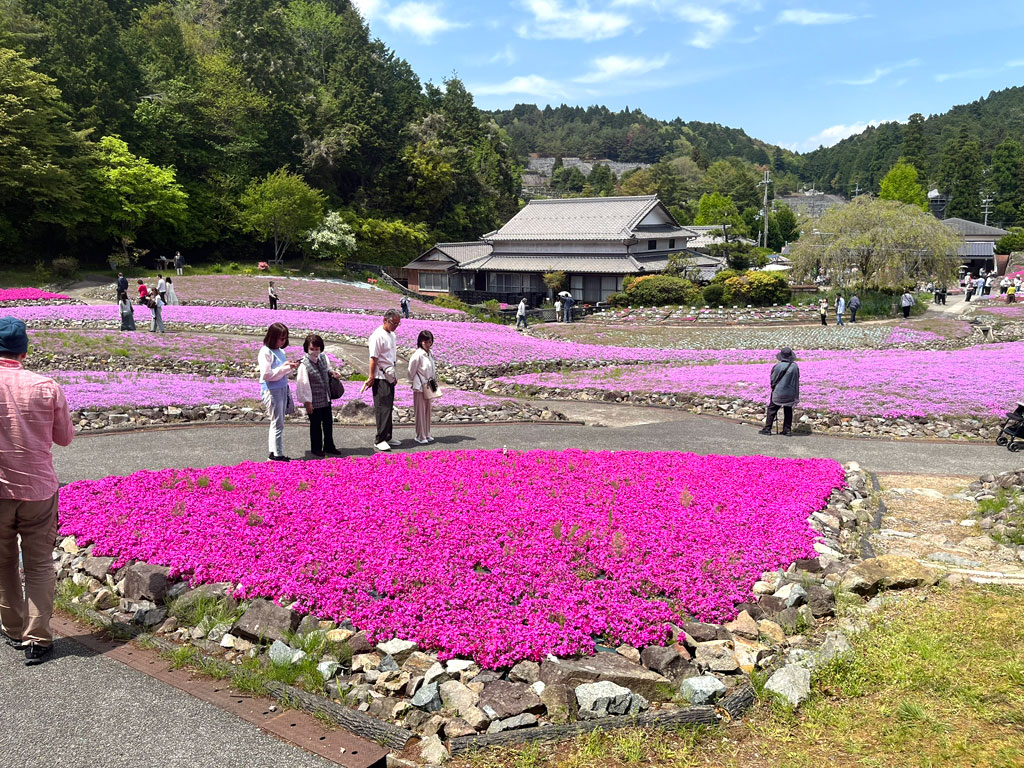 hana-20260502-1248