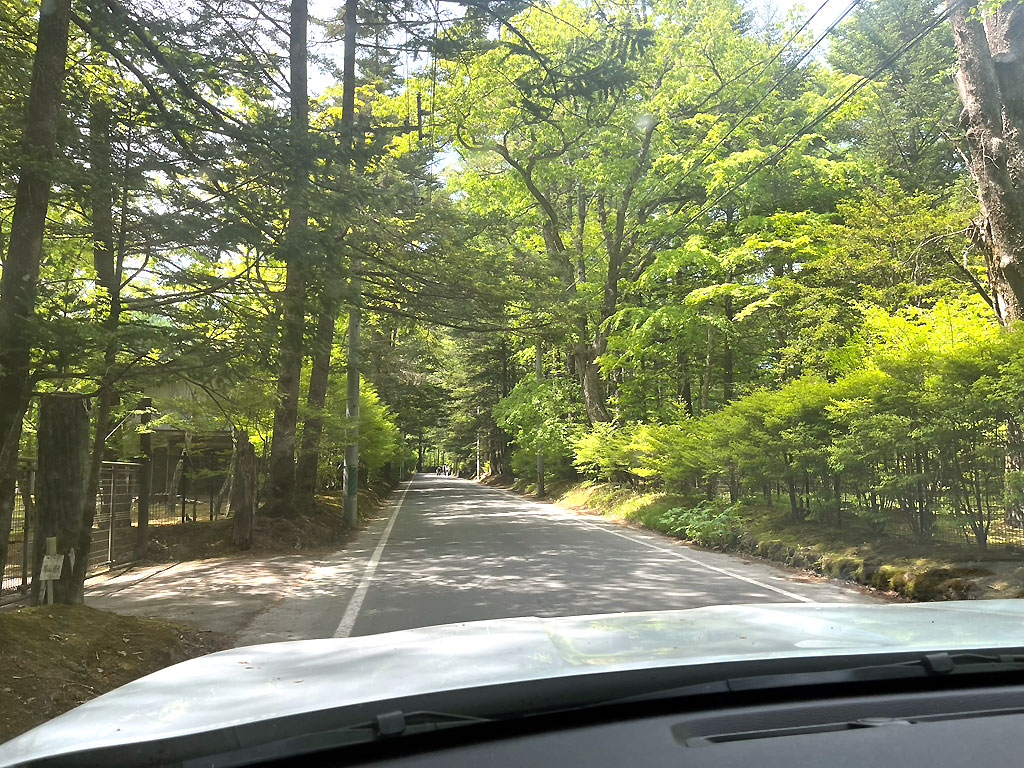 nagano-20260519-1306