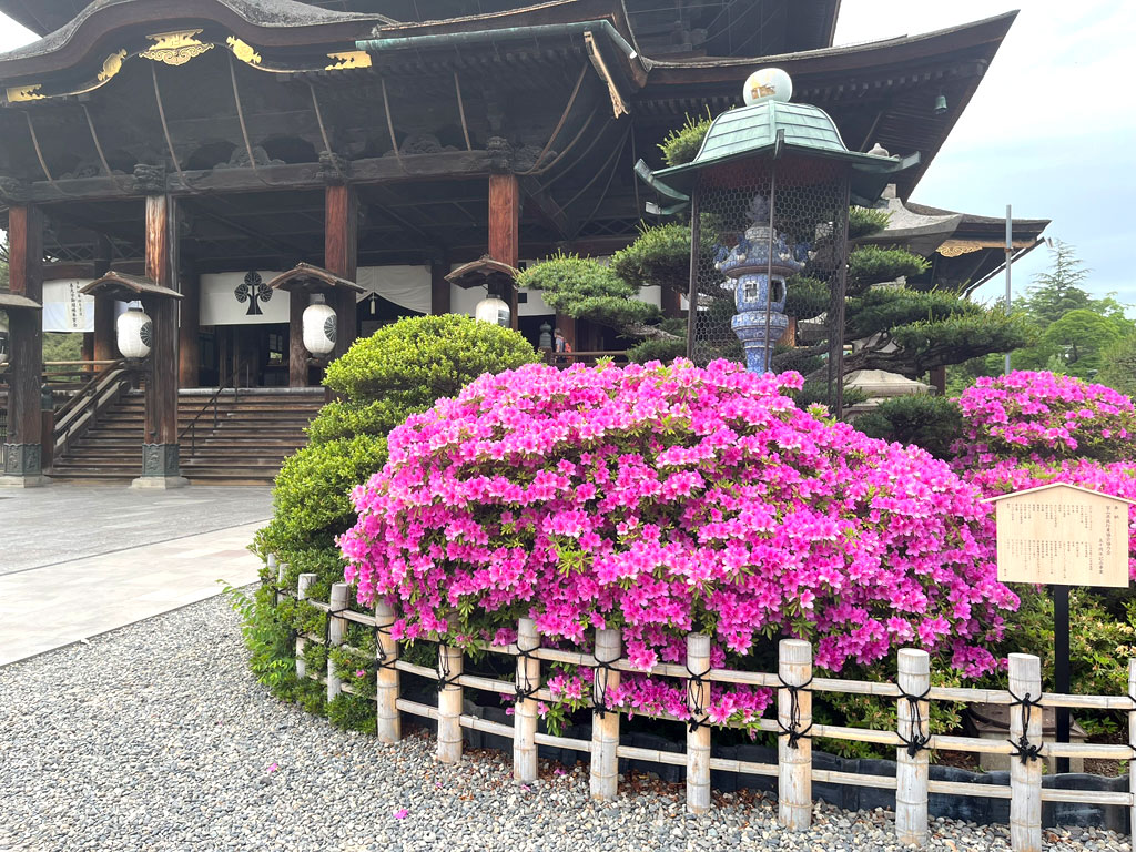 nagano-20260520-1604