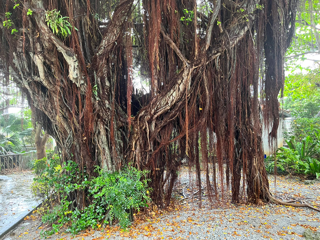 okinawa-20260423-1448